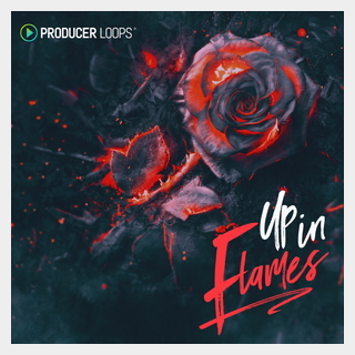 PRODUCER LOOPSUP IN FLAMES