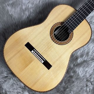 佐佐木聰 2025年製 松/ローズウッド【セミレイズドフィンガーボード】