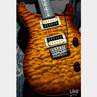エレクトリックギター、Paul Reed Smith(PRS)、SANTANAの検索結果