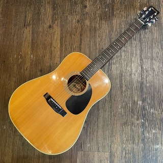アコースティックギター ＞ フラットトップ、morris、MORRIS W-20の