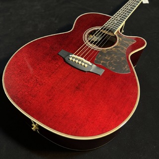 Takamine DMP50S WR エレアコギター【島村楽器 x Takamine コラボモデル】