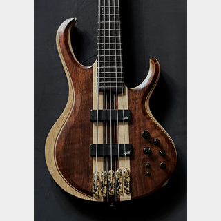 ギター EDWARDS E-RODEO DECADE CHS Press Release 2015-10-23