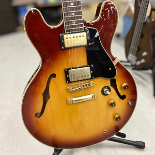 F&G Daniels SA / semi acoustic guitar ( F&Gダニエルズ セミアコ)