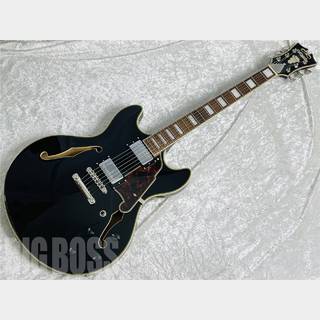 D'Angelico Premier DC (Black)