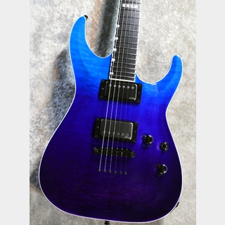 E-II、Horizon NT-IIの検索結果【楽器検索デジマート】