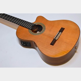 Paco Castillo 224CE【USED】