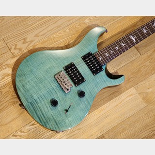 Paul Reed Smith(PRS) SE Custom 24 