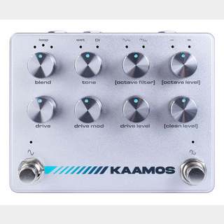 Darkglass Electronics KAAMOS