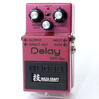 BOSS DM-2w Delay 【福岡パルコ店】