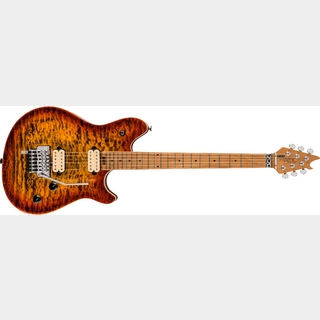 EVH、Wolfgang Special QMの検索結果【楽器検索デジマート】