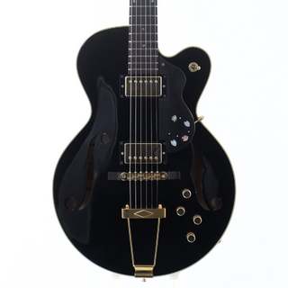 ROZEO GUITARS Ladybug SM-TBC HB Black 【心斎橋店】