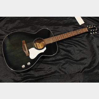 アコースティックギター／エレクトリック・アコースティックギター