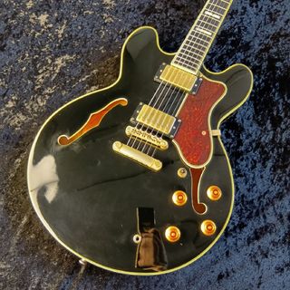Epiphone Sheraton II Ebony Black 2015年製