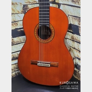 gC5の検索結果【楽器検索デジマート】