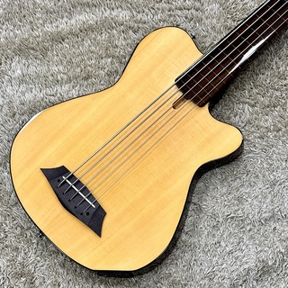 アコースティック・ベース／エレアコ・ベース、フレットレスの検索結果