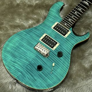 Paul Reed Smith(PRS) SE CUSTOM 24 エレキギター