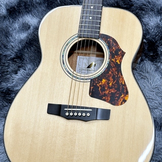 Morris F-LTD II NAT【日本製】【オール単板】