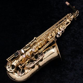 SELMER Alto SA80II Jubilee GL SN.73xxxx SERIE2 アルトサックス【御茶ノ水本店】