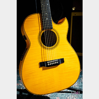 アコースティックギター／エレクトリック・アコースティックギター