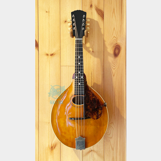 GibsonStyle-A Mandolin