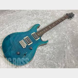 Paul Reed Smith(PRS) SE Custom 24 ( Blue Matteo )