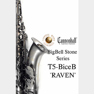 サックス／サクソフォン／サキソフォン ＞ テナー・サックスの検索結果