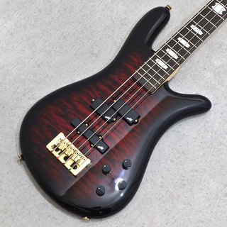 Spector NS Icon Bolt-On 4 Black Cherry Gloss 【48回まで分割金利手数料無料!】