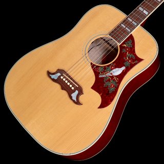 Gibson Dove Custom Red Spruce & Quilt Edition 【池袋店】