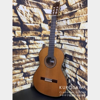 Paco Castillo パコ・カスティージョ 205C 杉・ローズウッド【日本総本店2F在庫品】