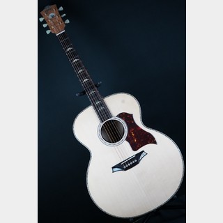 ギター Providence STV-1JB White Providence、STV-1JBの検索結果【楽器検索デジマート】