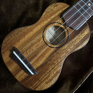 G-Labo 《現物画像 / 迅速発送！》DISH-1J たびレレ