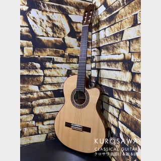 Paco Castilloの検索結果【楽器検索デジマート】