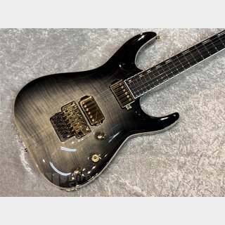 EDWARDS E-HORIZON-CTM 50TH (Ash Black Burst C / Black Pearl Back)