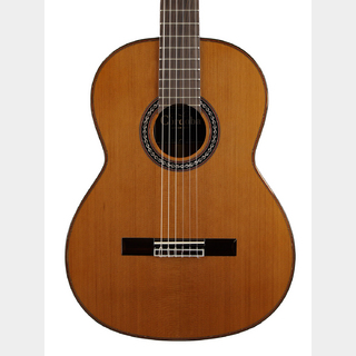 クラシック・ギター／フラメンコ・ギター【楽器検索デジマート】