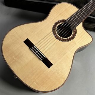 アコースティックギター／エレクトリック・アコースティックギター