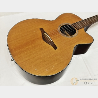アコースティックギター／エレクトリック・アコースティックギター、W
