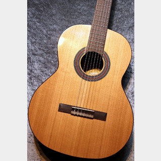 Orpheus Valley Guitars 【小物6点サービス!】Fiesta F65C 杉 / ローズウッド #008【お勧め!】【現物写真】【池袋店在庫品】