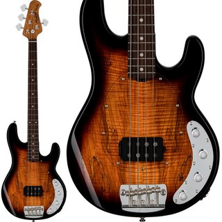 Sterling by MUSIC MANRay34SM (3-Tone Sunburst/Rosewood) 【特価】