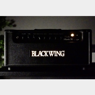 BLACKWINGBLACK HAWK30 HEAD&4×12″ CABINET SET【現品画像】