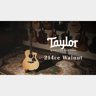 Taylor 【試奏動画有】214ce Walnut【Taylor公認 リペアマン在籍店】