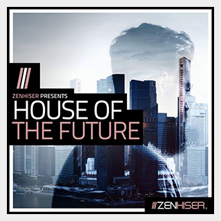 ZENHISER HOUSE OF THE FUTURE