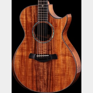 Taylor、Customの検索結果【楽器検索デジマート】