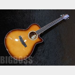 Morris R-011 【Tobacco Sunburst】