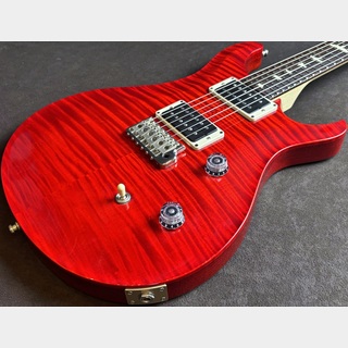 エレクトリックギター、Paul Reed Smith(PRS)、CEの検索結果