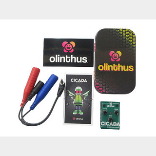 Olinthus CICADA【鹿児島店】