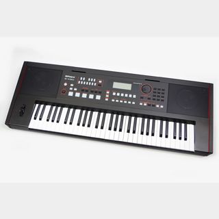 RolandE-X50 Arranger Keyboard