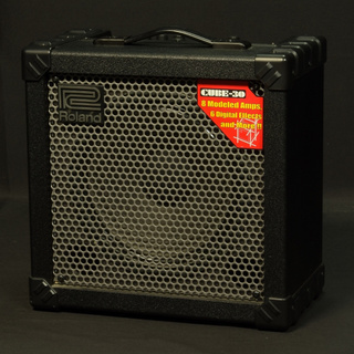 RolandCUBE-30 Guitar Amplifier【福岡パルコ店】