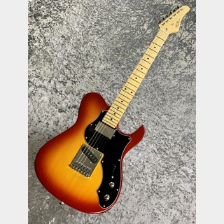 FUJIGEN(FGN)Boundary ILIAD BIL2-M-HS/CS ~Cherry Sunburst~ #G230143 [3.15kg]