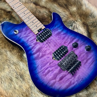 EVH、Wolfgang WG Standardの検索結果【楽器検索デジマート】