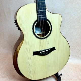 アコースティックギター／エレクトリック・アコースティックギター